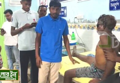 নাগরাকাটায় মহিষ চড়াতে গিয়ে গন্ডারের আক্রমনে গুরুতর আহত এক বৃদ্ধ