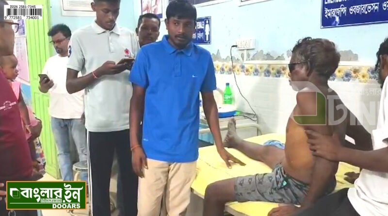 নাগরাকাটায় মহিষ চড়াতে গিয়ে গন্ডারের আক্রমনে গুরুতর আহত এক বৃদ্ধ